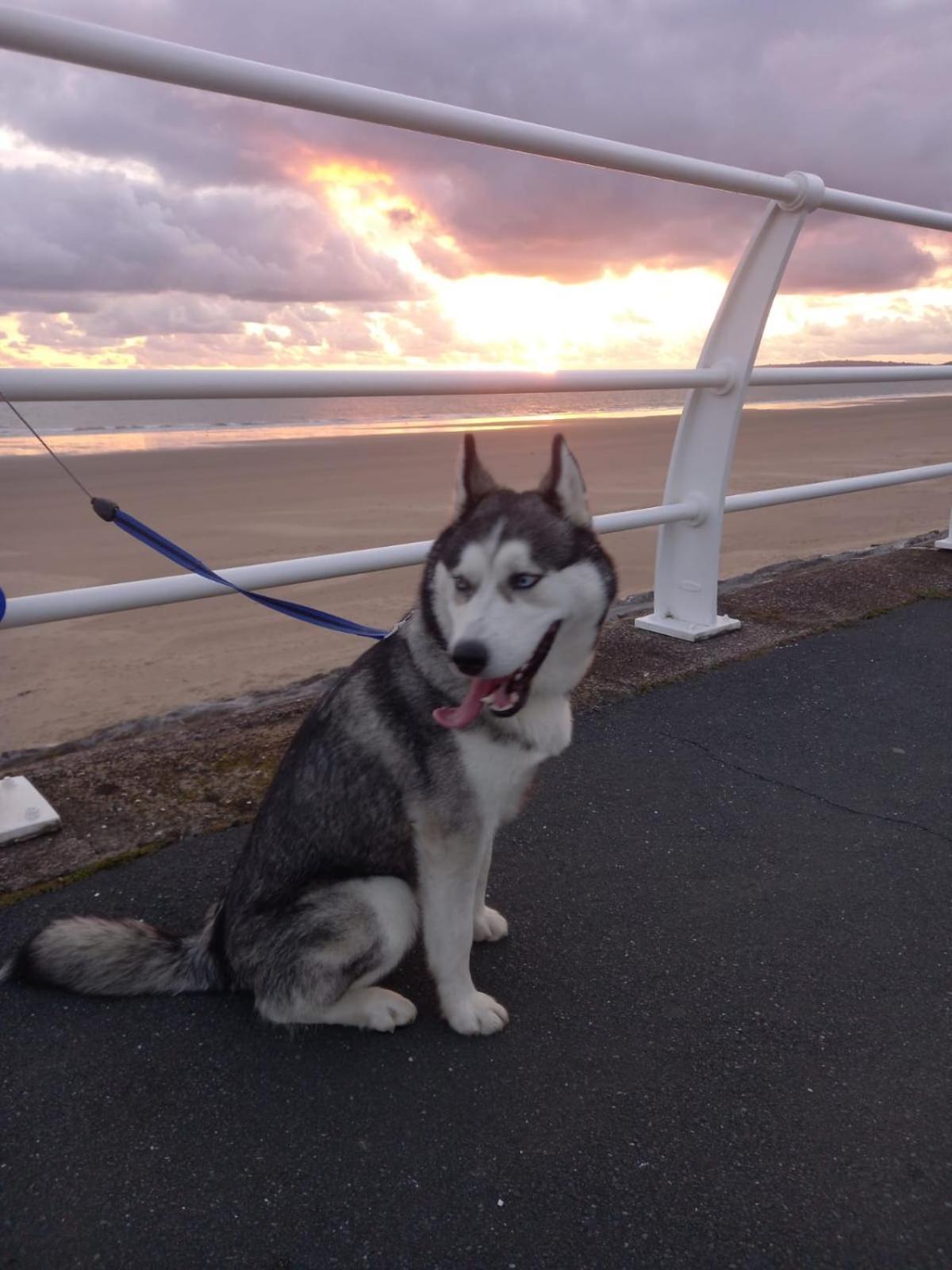 Driftmark Beachfront Location Aberavon Sea Views Large Driveway Parking Private Site Fibre Optic Wi Fi Holiday home